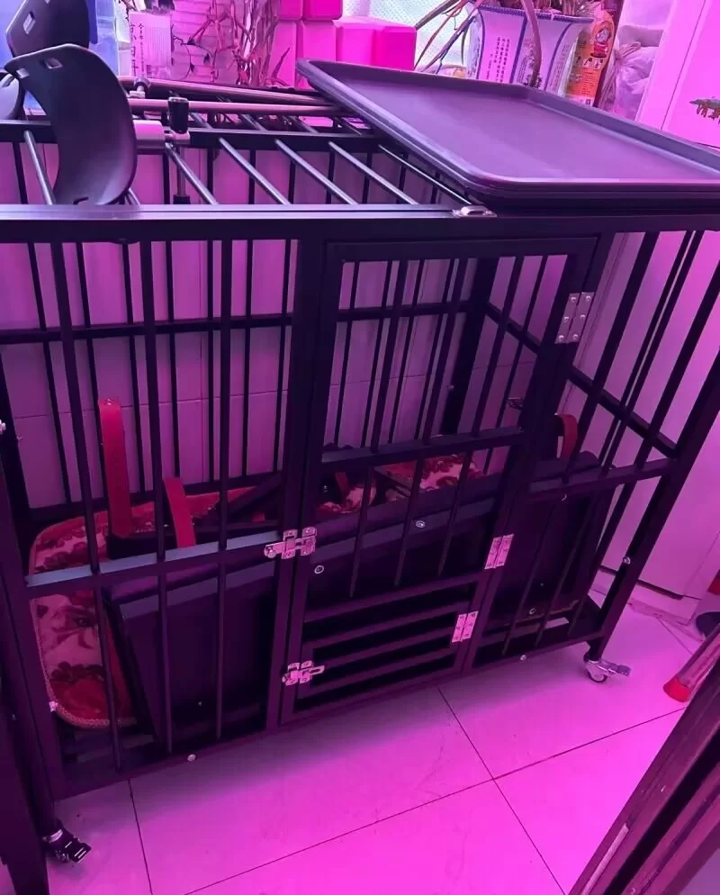 需要一个熟女阿姨_锦州金主找包养