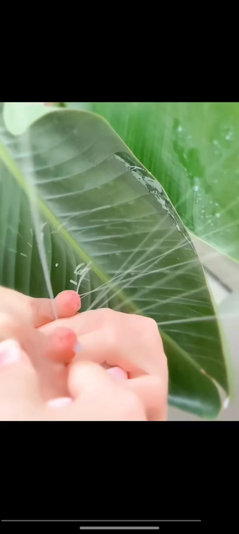 乳交哺乳期巨乳宝妈_深圳外围小姐