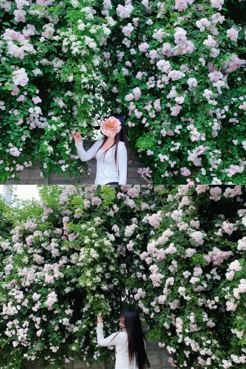 南三环jk少女_郑州外围小姐