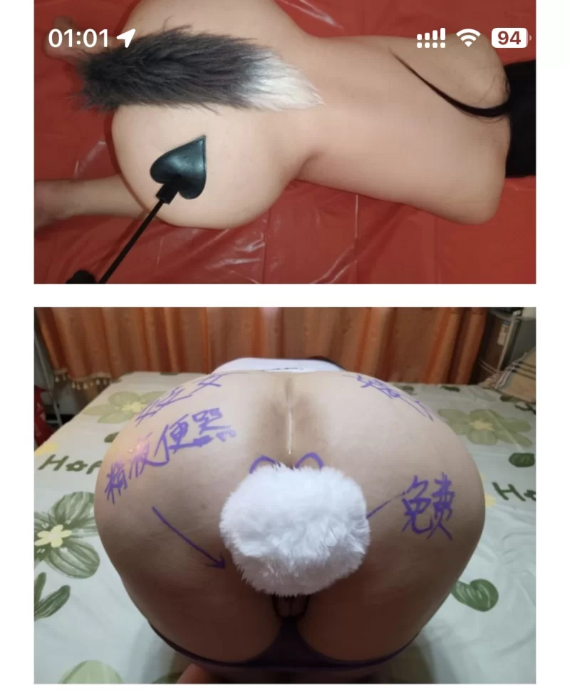 沈阳sm大熟女_沈阳外围小姐