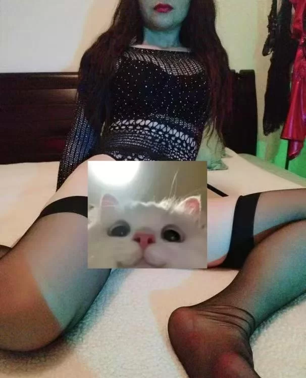 江北服务老师_市区外围小姐