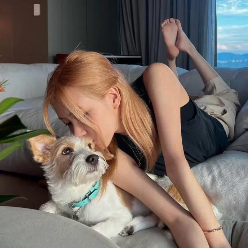 北京   丰台区_丰台外围小姐