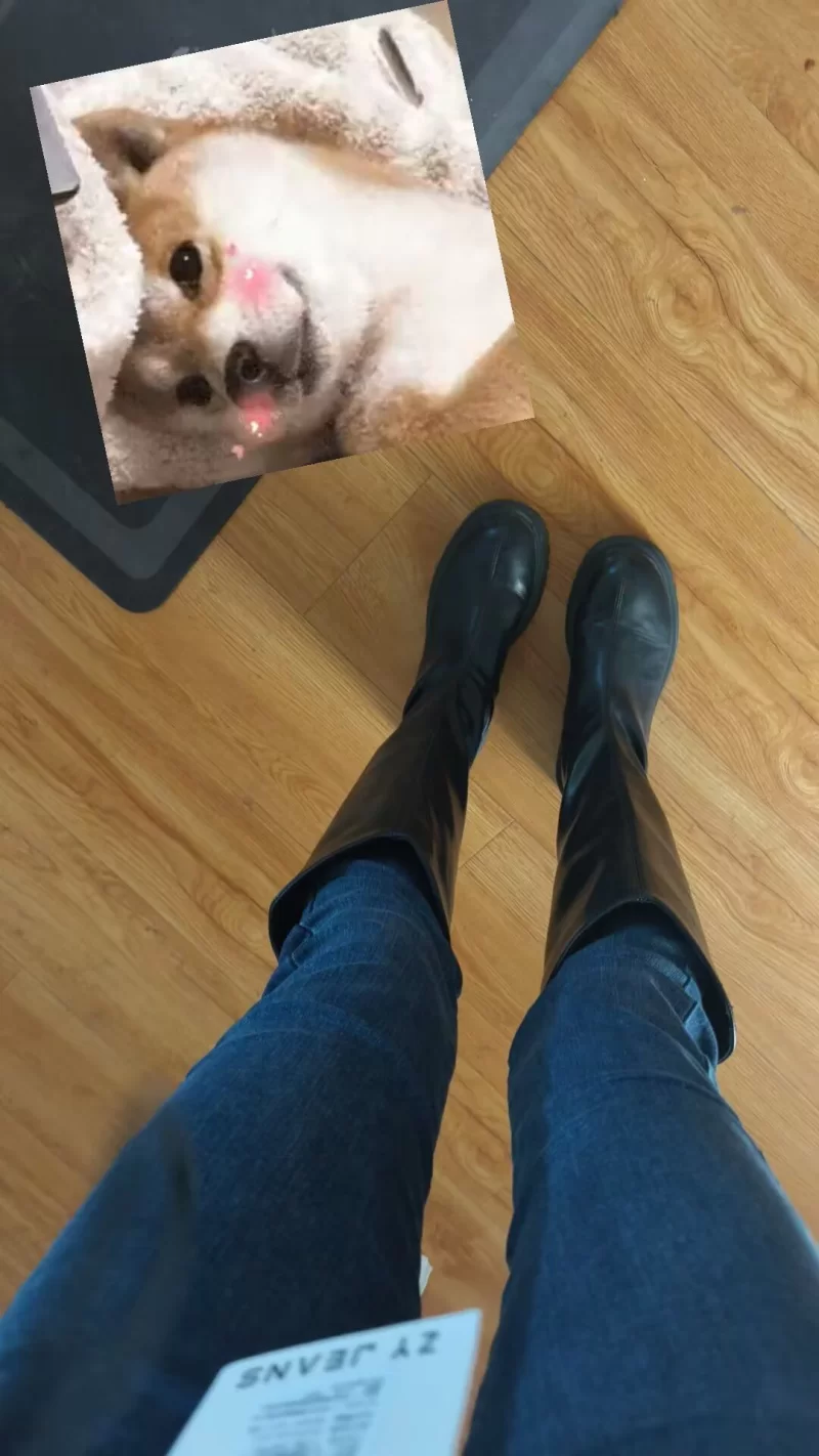 长春sm女王_长春外围小姐